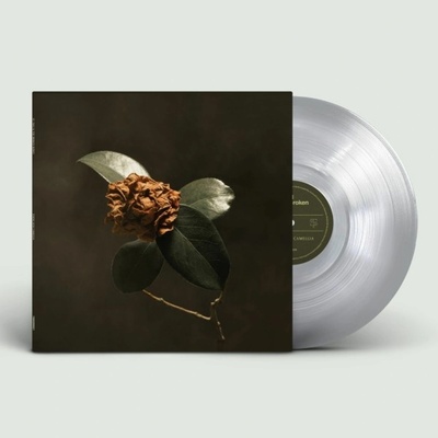 St. Paul and The Broken Bones - YOUNG SICK CAMELLIA Vinyl