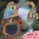 CHEER UP - SLEEP DEBT CD