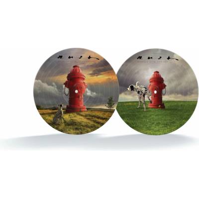 Rush - Signals Picture LP