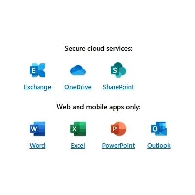 Microsoft Софтуер Microsoft 365 Business Basic (no Teams) (CFQ7TTC0LH18:000D)