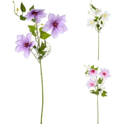 CLEMATIS 3-KVETY,LISTY 3F 72CM