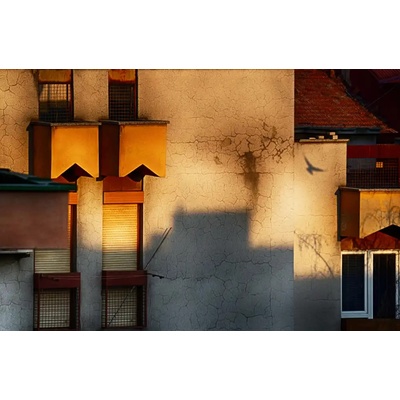 Fotografie - Palceska, Anita: ranní projekce - reprodukce obrazu