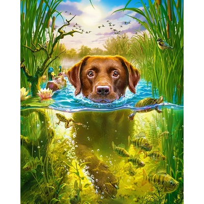 Gaira Malovanie podľa čísel Pes