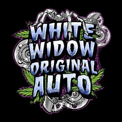 Sumo Seeds White Widow Original Auto semienka neobsahujú THC 3 ks