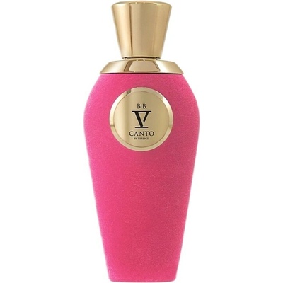 V Canto B.B. parfémovaná voda unisex 100 ml