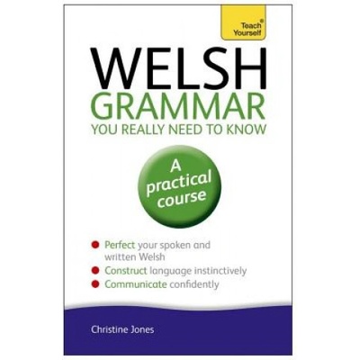 Teach Yourself Welsh Grammar You Really Need to Know