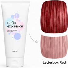 Dusy Color Injection přímá pigmentová barva letterbox Red 115 ml