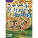 Cambridge Primary Path Level 3 Flashcards