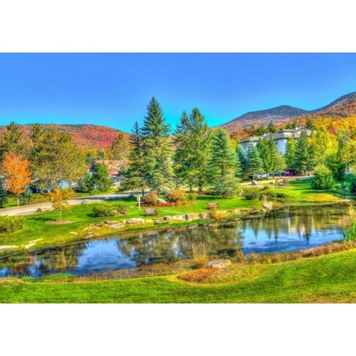 Bluebird Stowe Vermont USA 1000 dielov