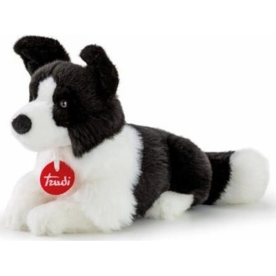 Trudi BORDER KOLIE S