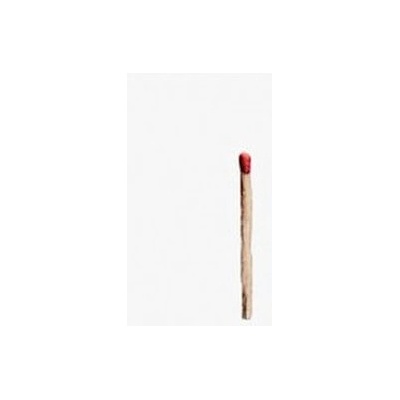 Rammstein Special Edition