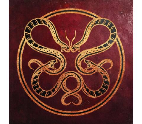 Vicious Rain - Anatomy CD