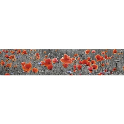 mySPOTTI Samolepící PVC tapeta do kuchyně splash Vlčí máky, rozměry 60x280 cm