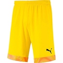 Puma Cup