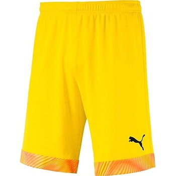 Puma Cup