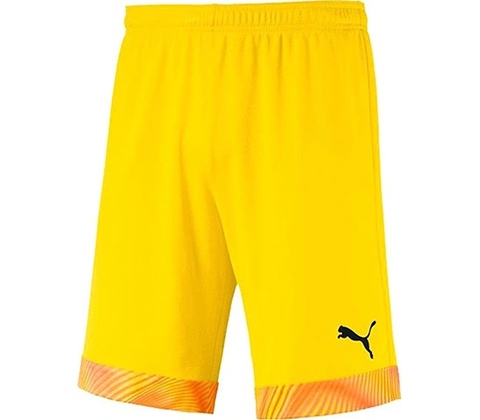 Puma Cup