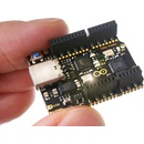 Arduino UNO Mini Limited Edition