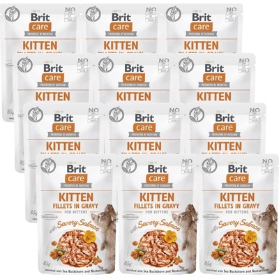 BRIT CARE Cat Kitten Fillets in Gravy with Savory Salmon Enriched with Sea Buckthorn and Nasturtium 12x85 g