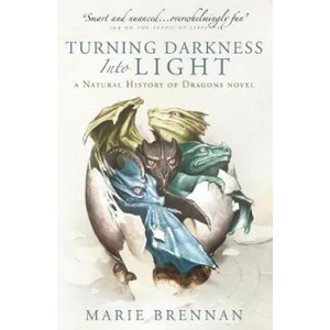 Turning Darkness into Light (ISBN: 9781789092516)