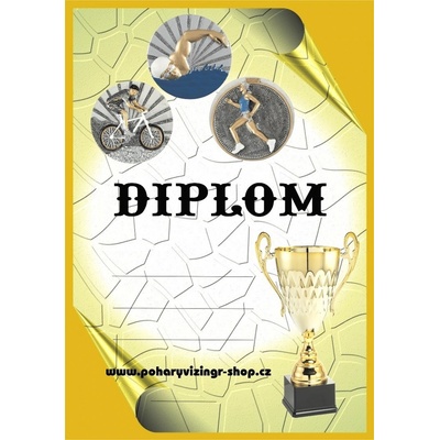 VIZINGR Triatlon ženy diplom A4 č.9