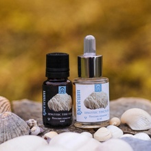 HerbariumProjekt HERICIUM Lions mane spagyric tincture 10 ml