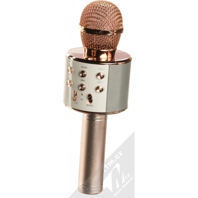 Alum Bezdrátový karaoke WS 858 Rose Gold – Zbozi.Blesk.cz