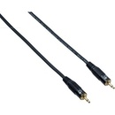 Bespeco EA2MJ300