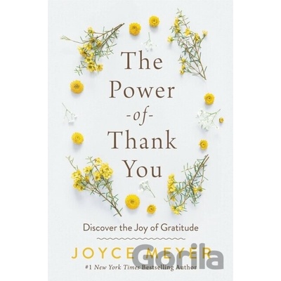 Power of Thank You Meyer Joyce