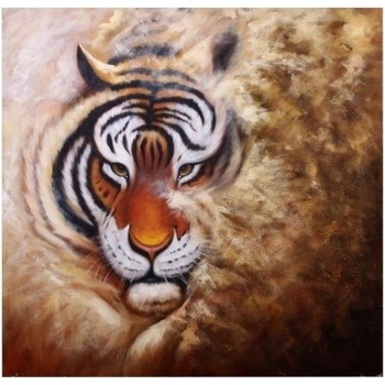 Obraz - olejomalba Pohled tygra