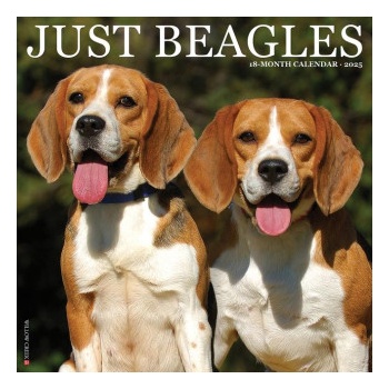 Willow Creek Press Calendars Beagles 2026 12 X 12 Wall Calendar