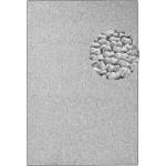Hanse Home Сив килим 80x150 cm Wolly - BT Carpet (102840-80x150)