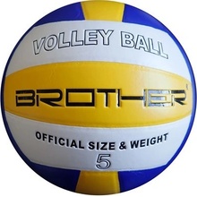 Brother VS501S VOLLEY TRAINING