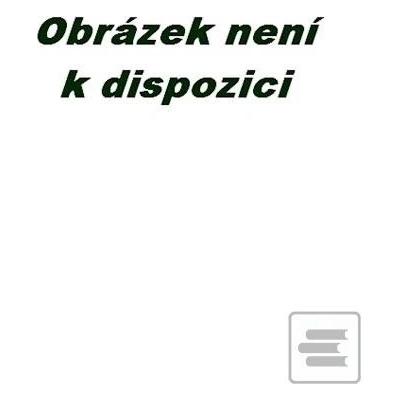 Hlazení duše v anglickém jazyce - Václav Budínský