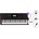 Casio CT X3000 SET