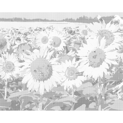 ZUTY Bodkovanie - SLNEČNICA NA POLI 2 Rámovanie: vypnuté plátno na rám, Rozmer: 40x50 cm