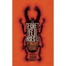 The Secret Life of Insects and Other Stories Esquinca BernardoPaperback