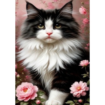 Norimpex - Puzzle Diamant painting: Black and white cat 30x40cm - 1 - 39 piese