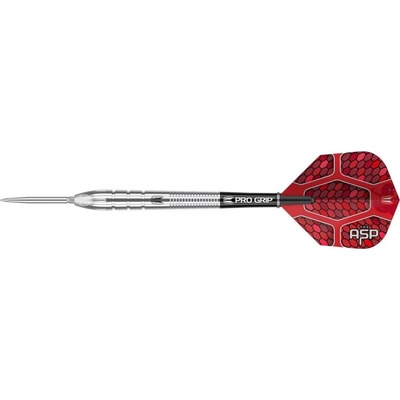 Steel Target Nathan Aspinall G1, SP 26g