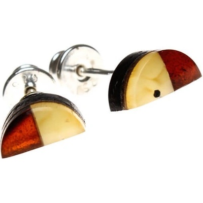 Reblan drevené náušnice s jantárom z kolekcie Amberwood TDNU020