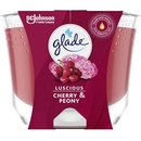Glade by Brise Luscious Cherry & Peony 224 g