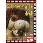 DM discont There is a Dragon Behind Humny - DVD (005476)