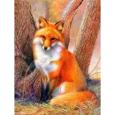 Gaira Diamantové malování Liška D1426 – Zboží Mobilmania