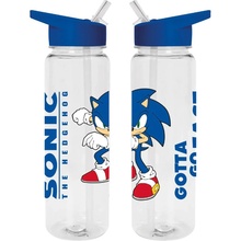 Sonic Gotta Go Fast 700 ml