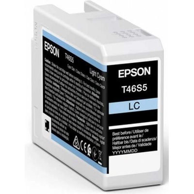 Epson T46S5 Light Cyan - originálny