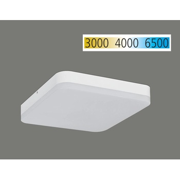 ACB P351213B