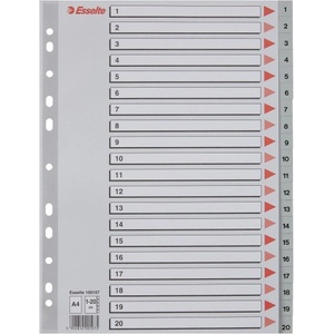ESSELTE Регистър esselte a/4 пластмаса 1-20 сив 100107 (100107)