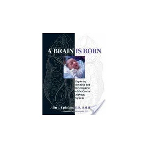 Brain Is Born | John E. Upledger (ISBN: 9781583943014)