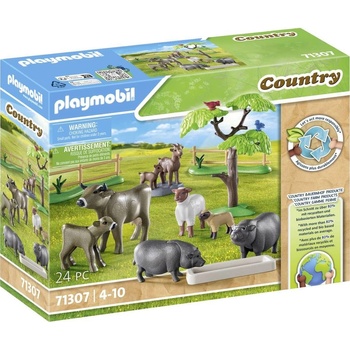 PLAYMOBIL 71307 Krajina