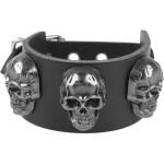 Leather & steel fashion гривна LEATHER & STEEL FASHION - Skull - LSF1 161