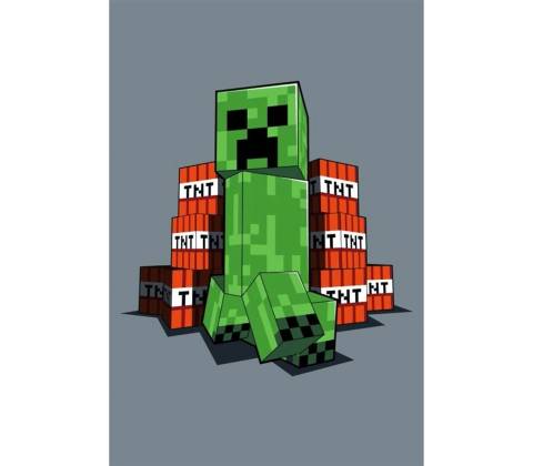 Halantex Dětská deka Minecraft TNT